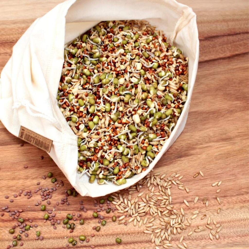 Filterbeutel mit Sprossen