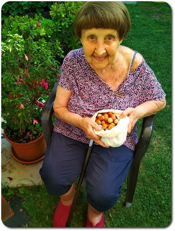 Nectarbar Famlilie - Haselnüsse sammeln Raw Food Filter Bag Nectarbar Famlilie - Haselnüsse sammeln Raw Food Filter Bag