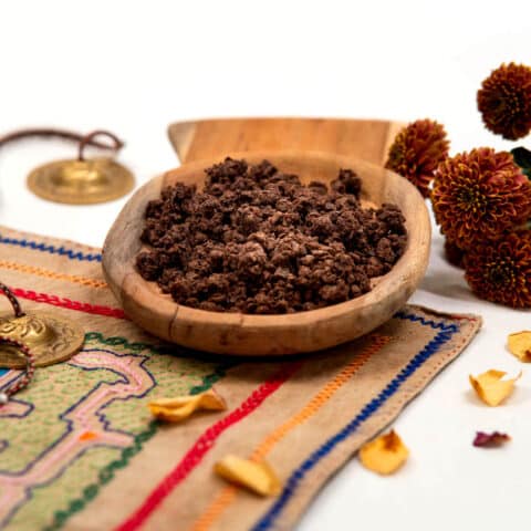 Vitalpilz Shroomcacao als Granulat